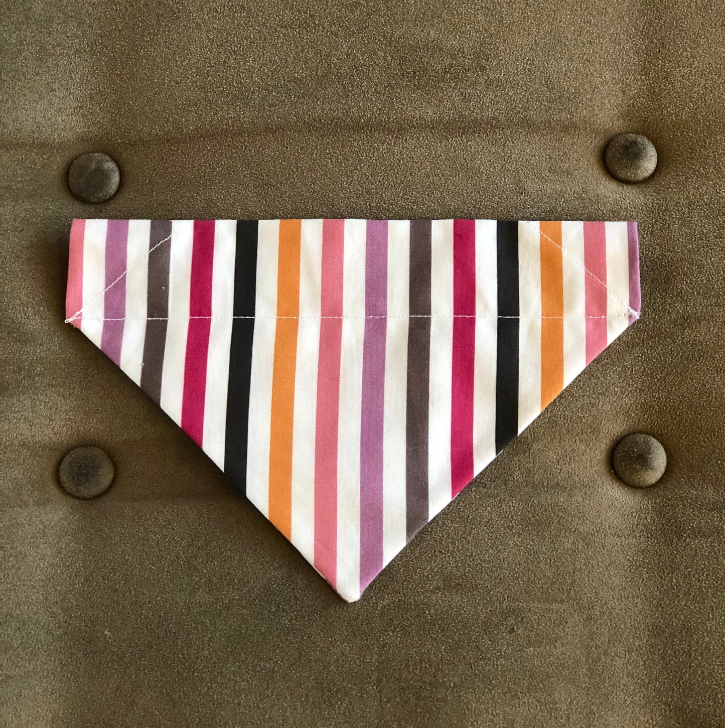 Bright Stripes Pet Scarf and Bows