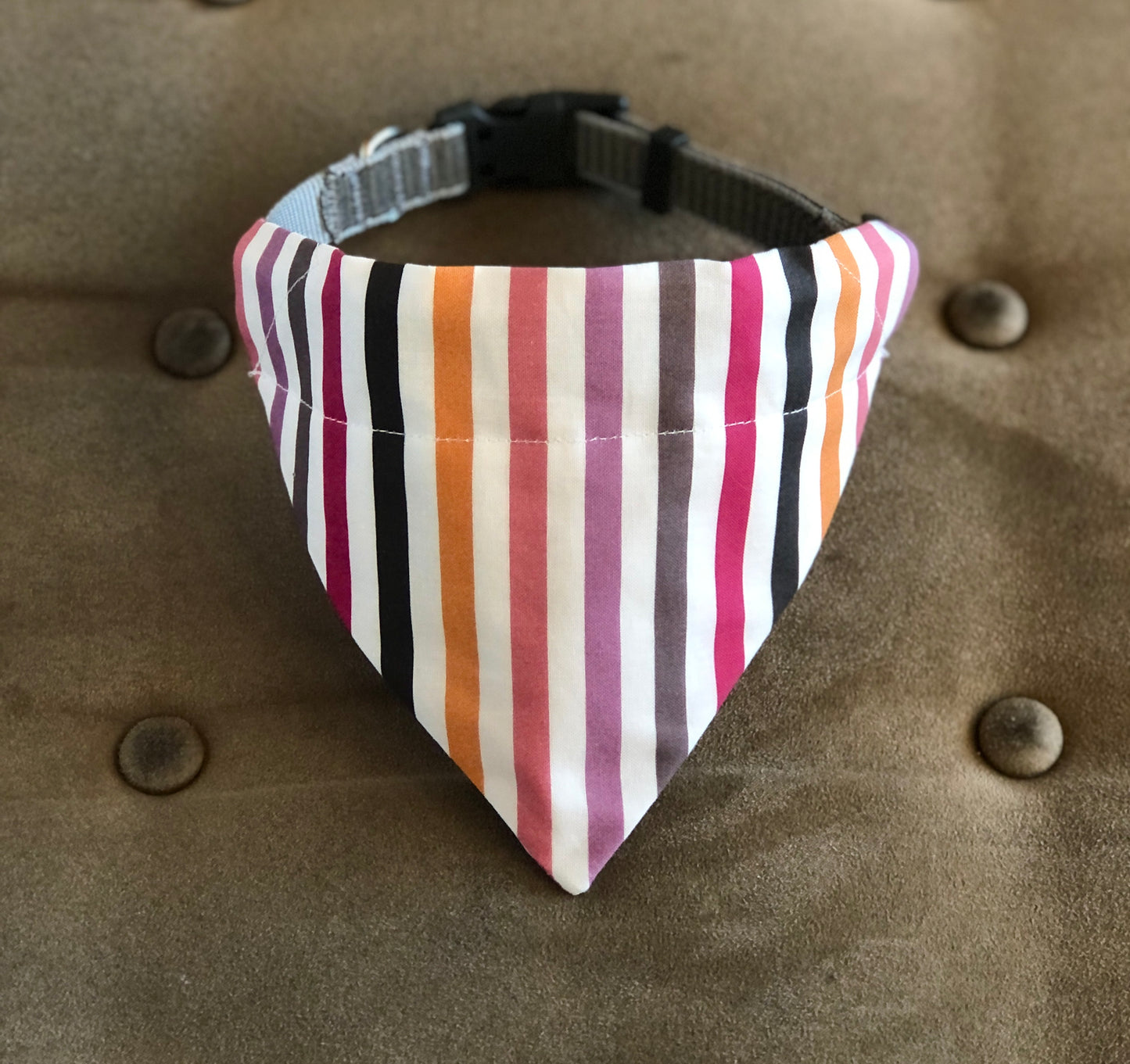 Bright Stripes Pet Scarf and Bows