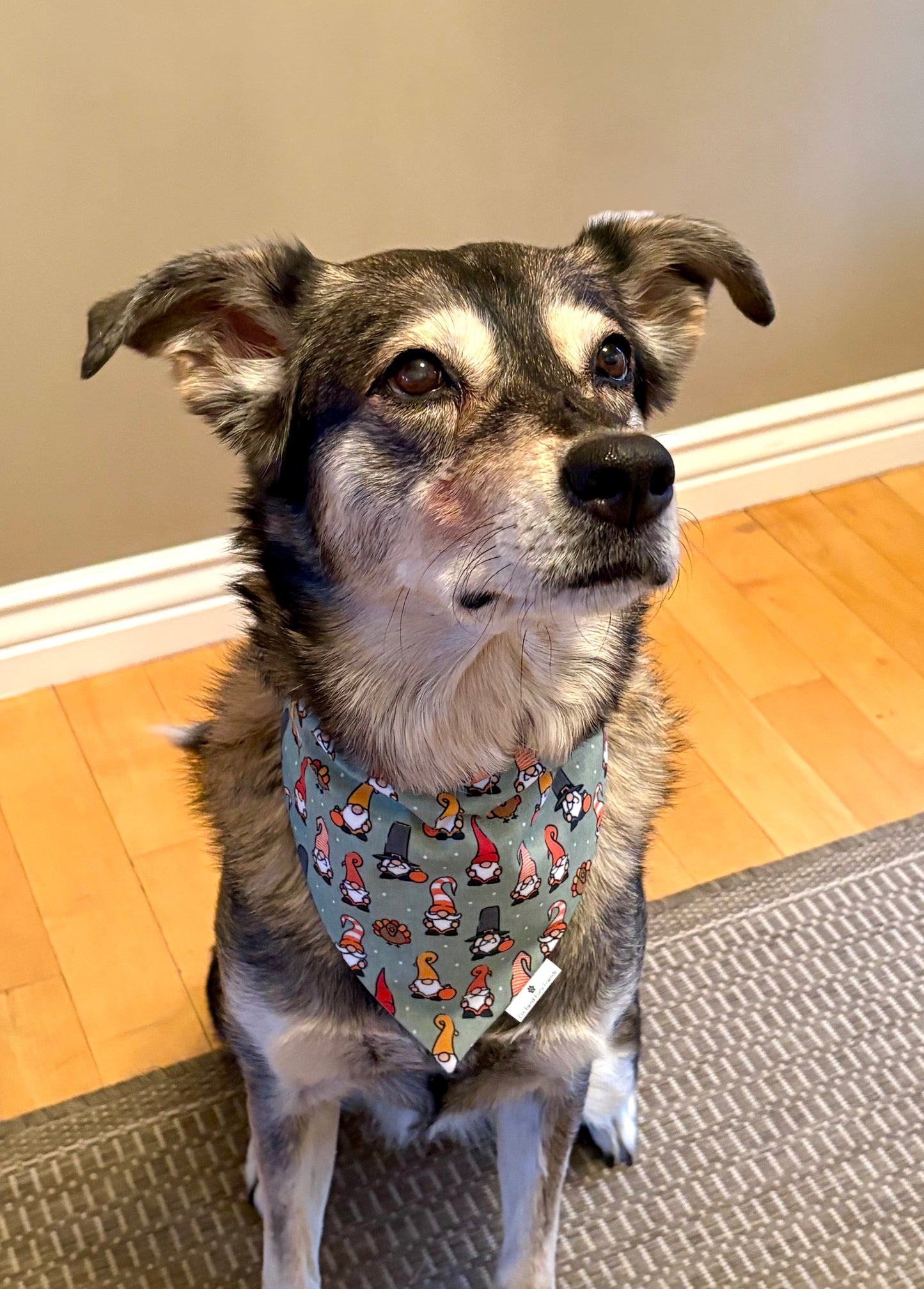 Gnomes and Gobbles Thanksgiving Scarf