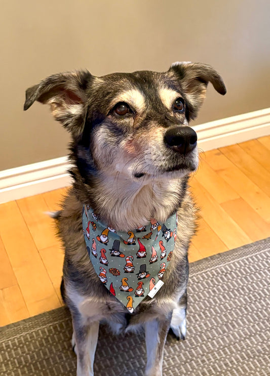 Gnomes and Gobbles Thanksgiving Scarf