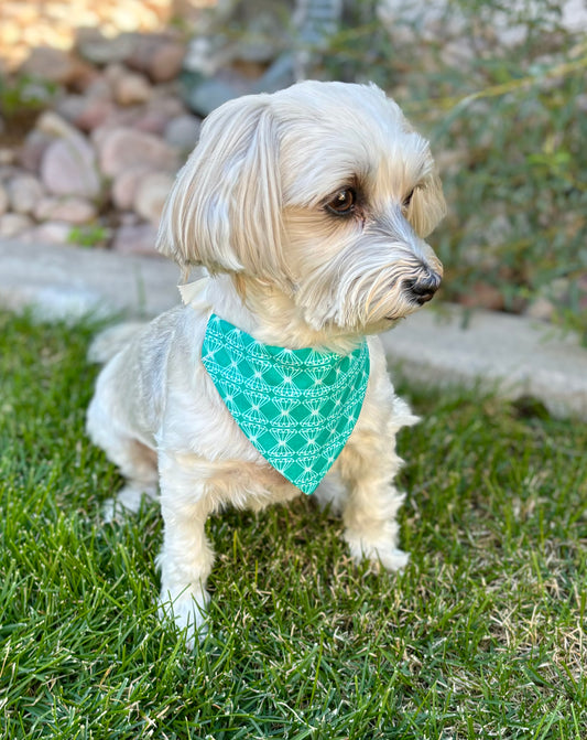 Classic Turquoise Pet Scarf