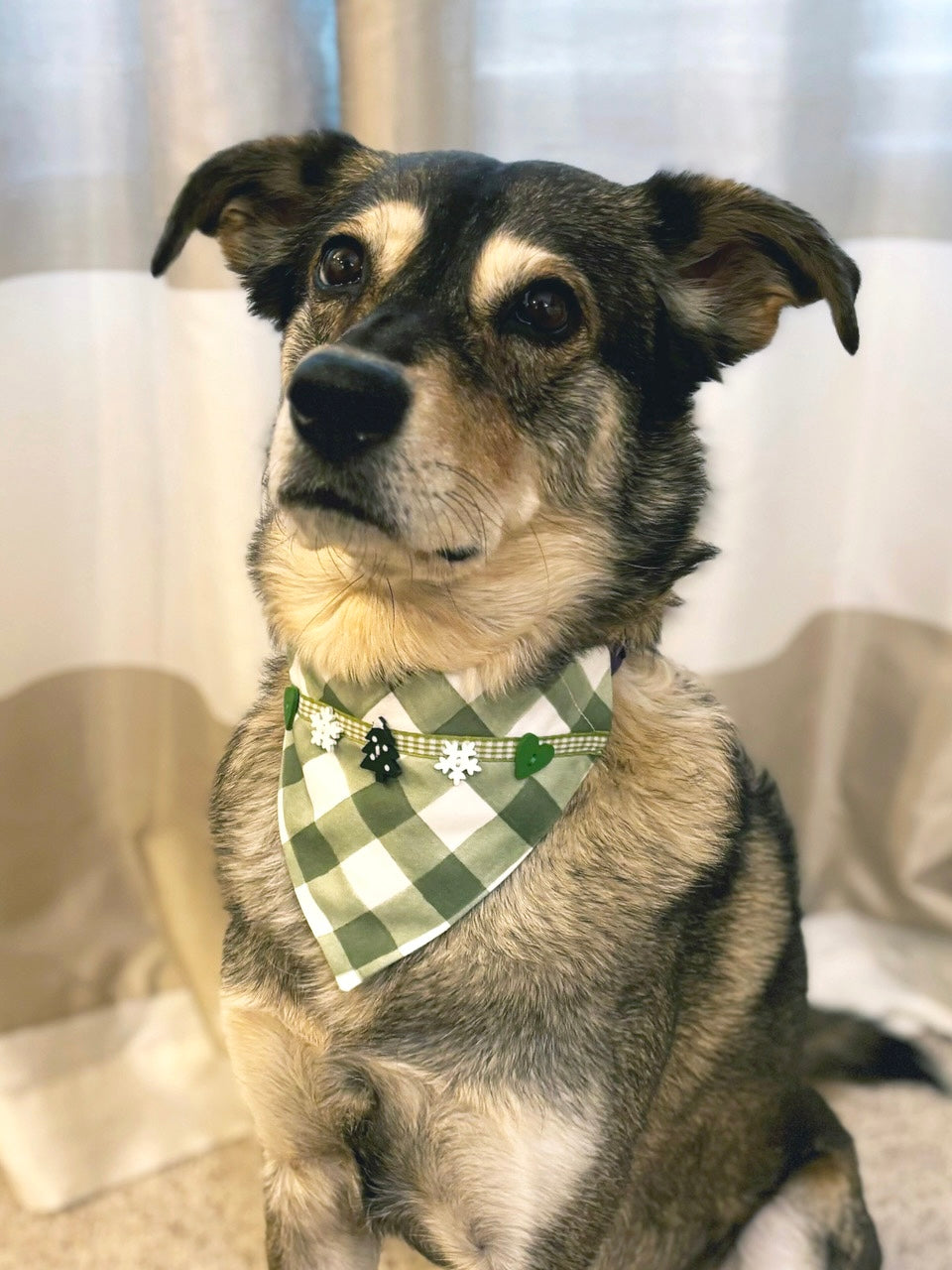 Green Plaid Scarf with Winter Buttons