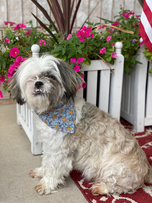 Starry Night Pet Scarf