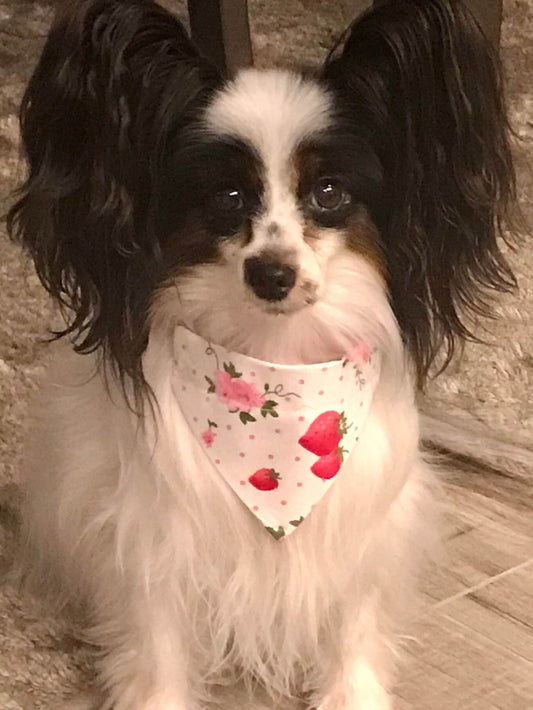 Strawberries, Pink, Over-the-collar, Pet Scarf, Fruit, Gift for Pets, Slip on Bandana, Cat Bandana, Cat Scarf, Dog Scarf, Dog Bandana