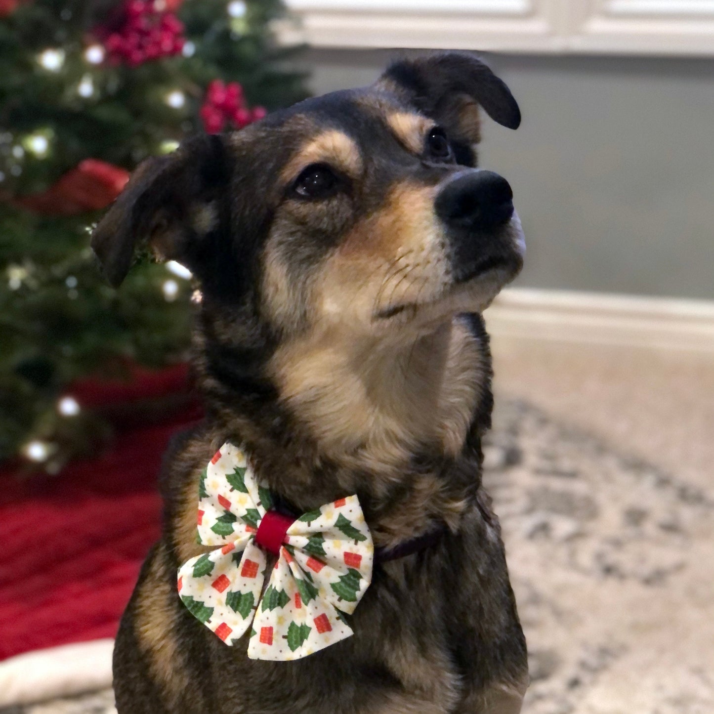 Holiday Bows with Tails