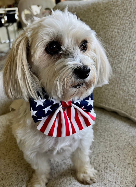 Stars and Stripes Bow with Tails for all your Patriotic Events!