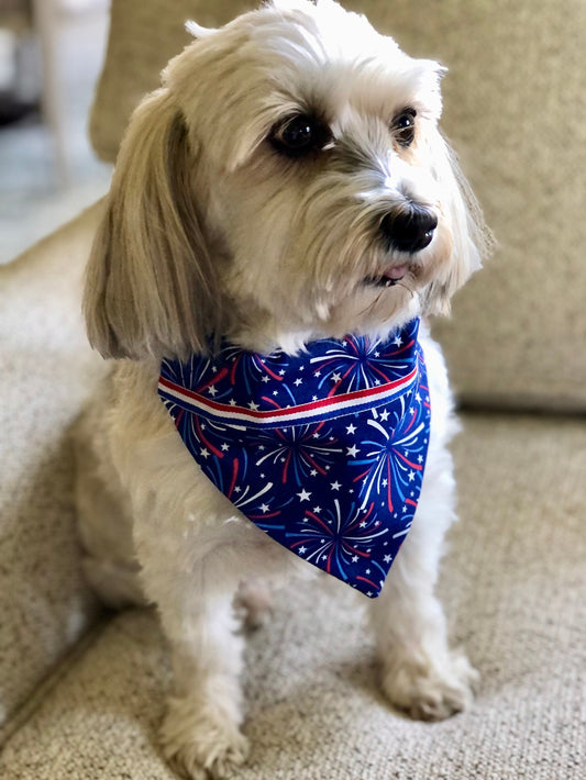 Fireworks Pet Scarves with Ribbon Detail for all your Patriotic Events!