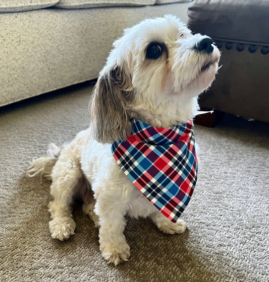 Red, White & Blue Plaid Pet Scarves for all your Patriotic Events!