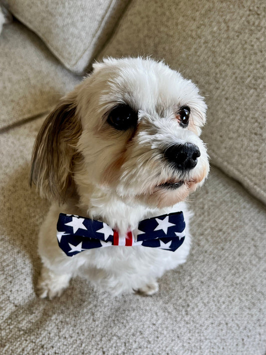 Stars and Stripes Small Pet Bow for all your Patriotic Events!