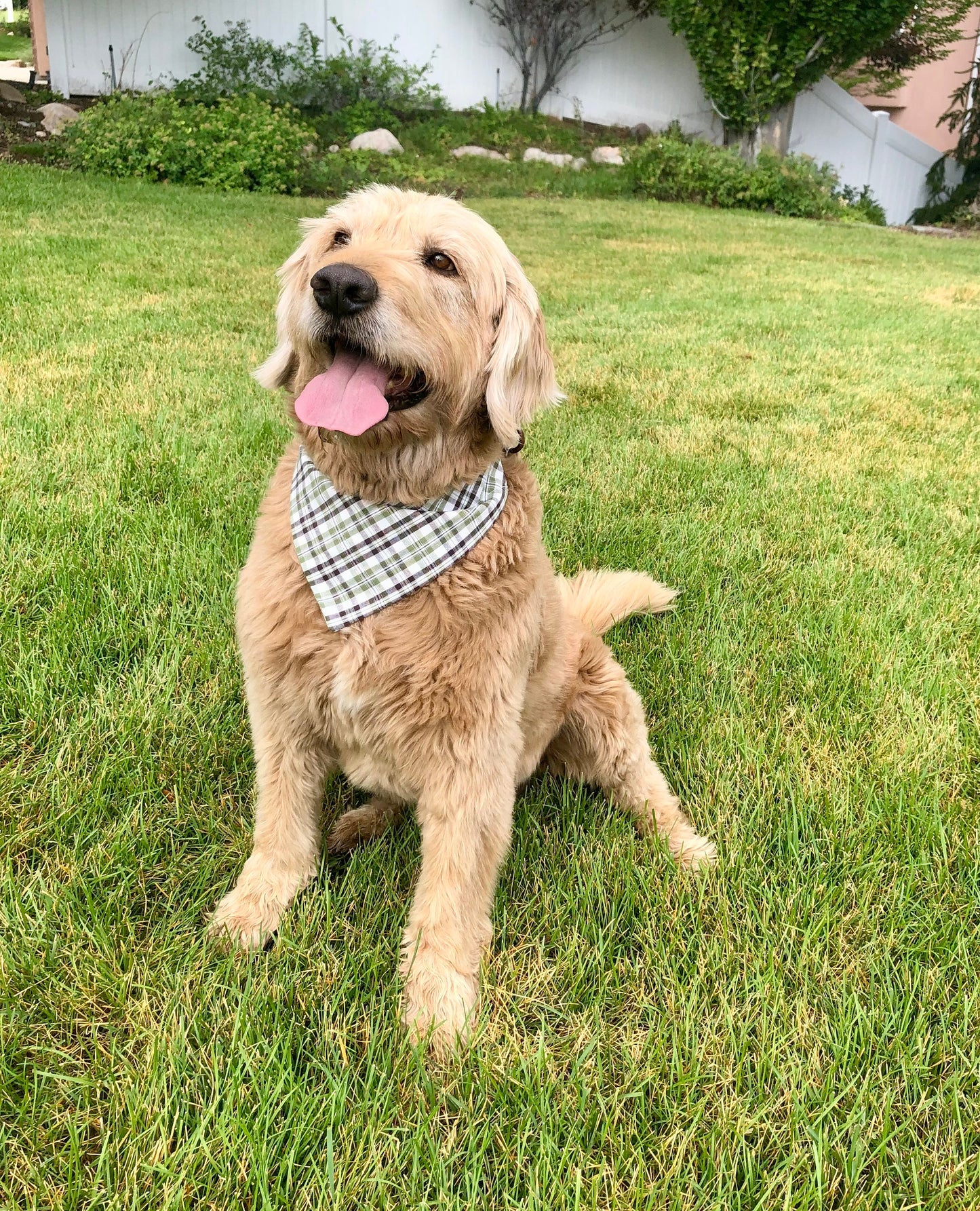 Essential Plaid Pet Scarves in Three Colors