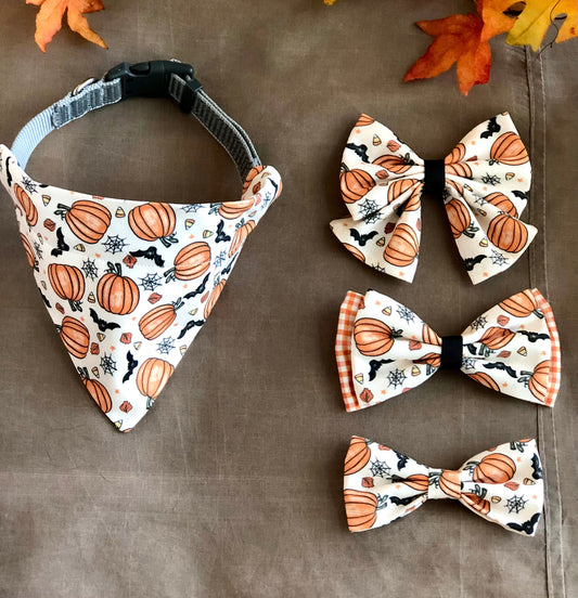 Bats and Pumpkins--Halloween Essentials for your Furry Friends!