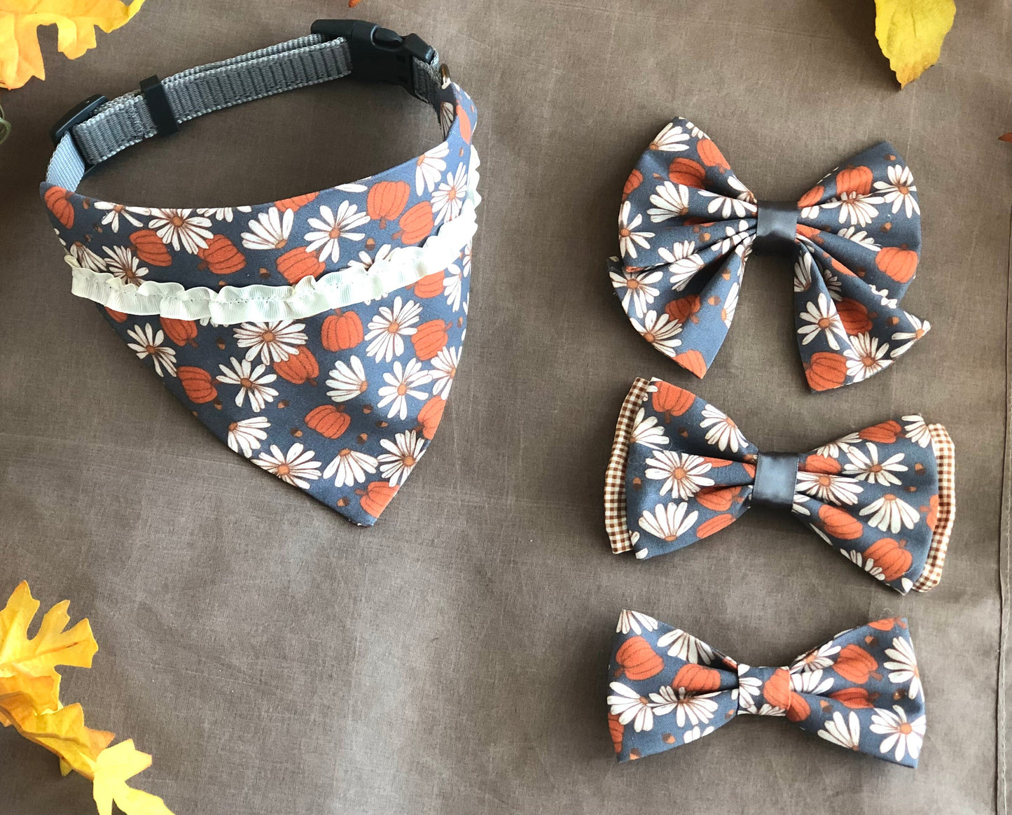 Pumpkins and Daises - Fall's Perfect Pair!