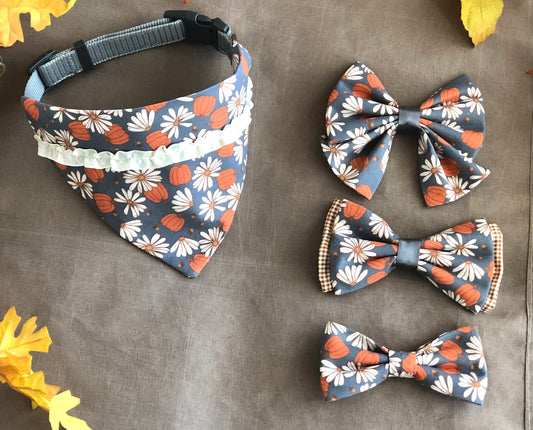 Pumpkins and Daises - Fall's Perfect Pair!