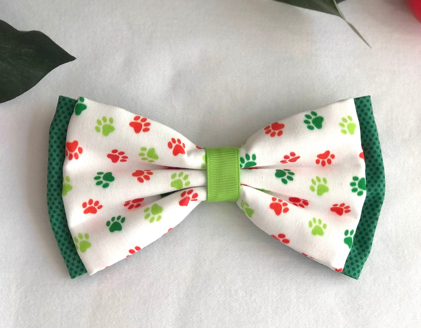 Pet Paws and Pom Poms in Scarves and Bows