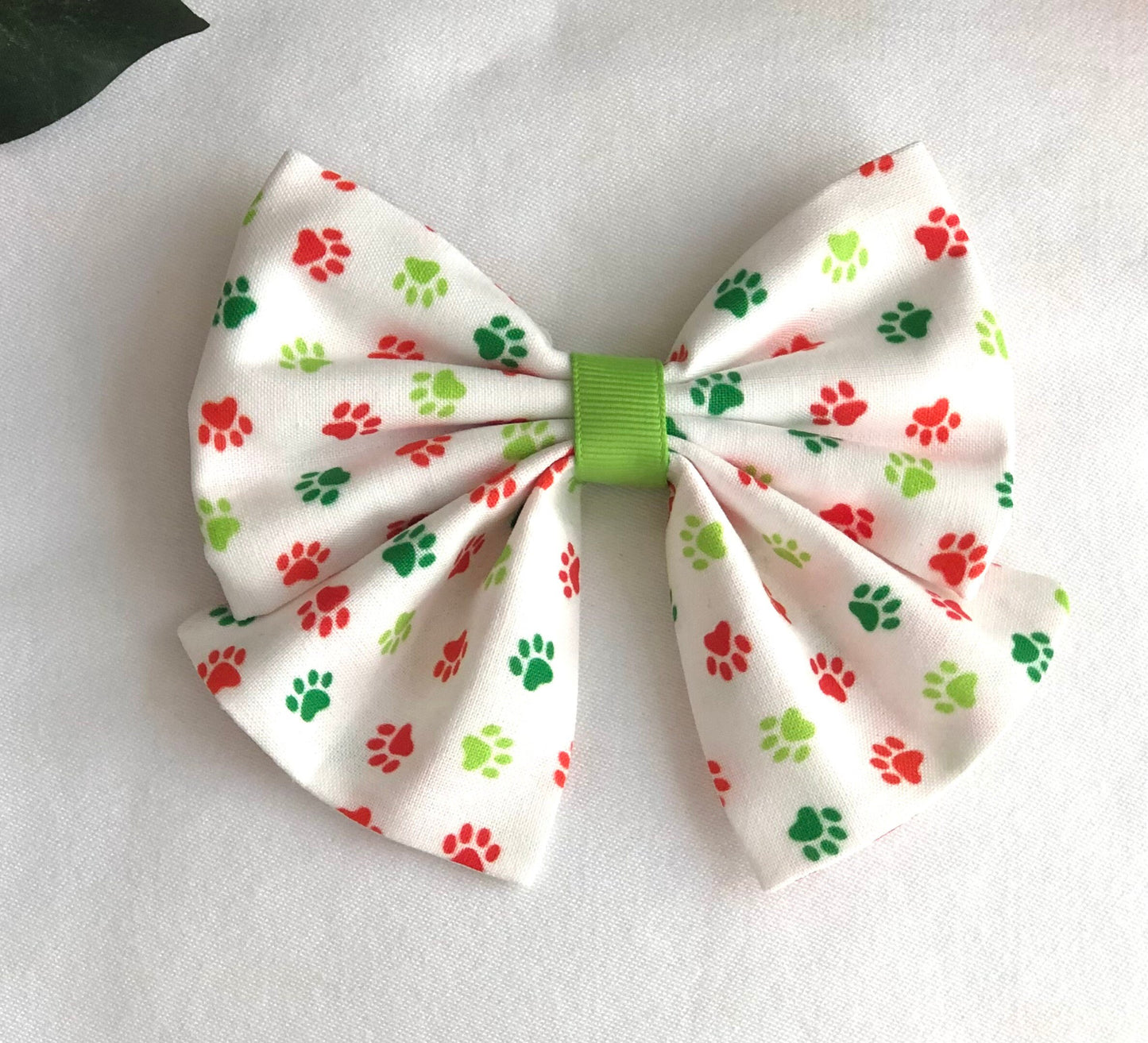 Pet Paws and Pom Poms in Scarves and Bows