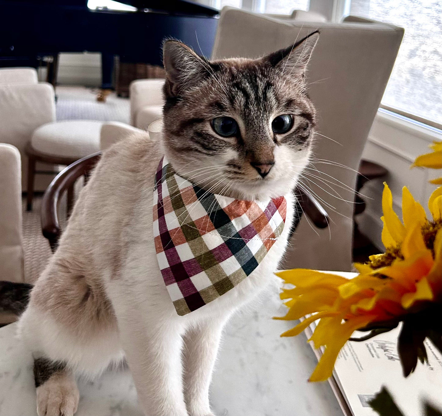 Fall Plaid and Fall Foliage in Scarves and Bows