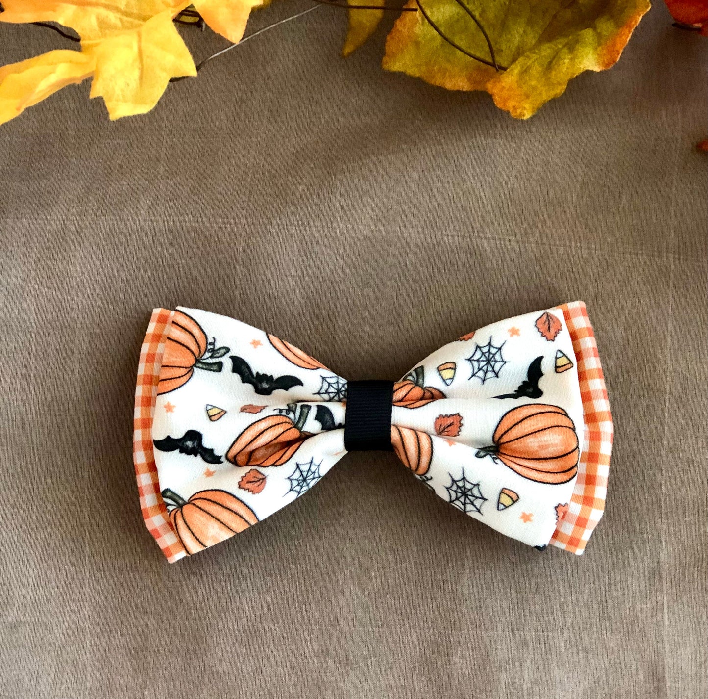 Bats and Pumpkins--Halloween Essentials for your Furry Friends!