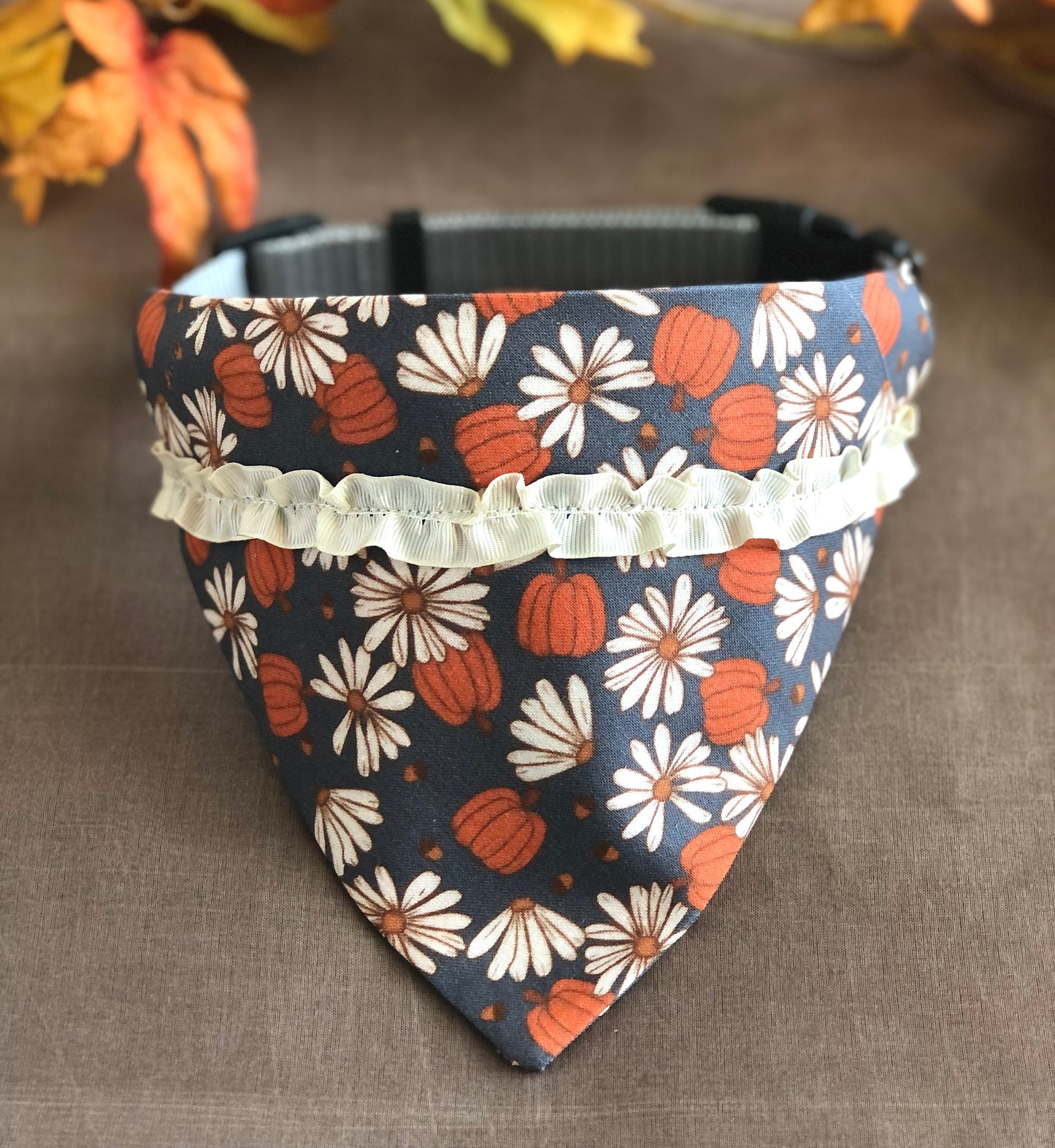 Pumpkins and Daises - Fall's Perfect Pair!