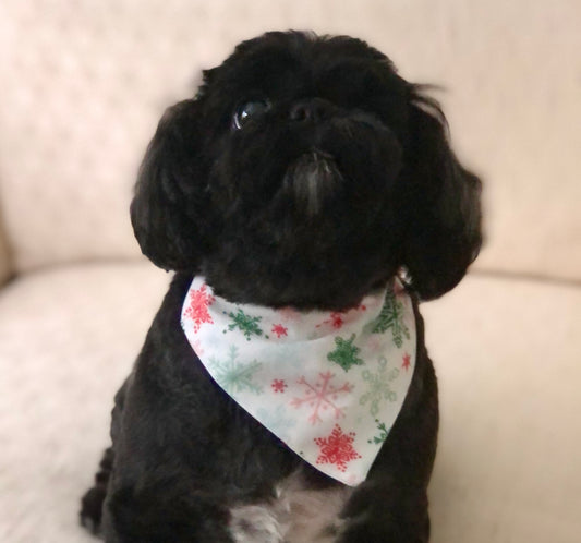 Winter Wonderland Pet Scarves and Bows