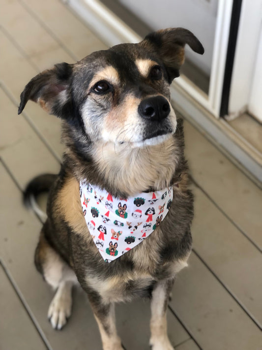 Christmas Pups Pet Scarf